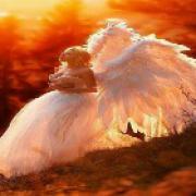 waarzegger Malube Angel 